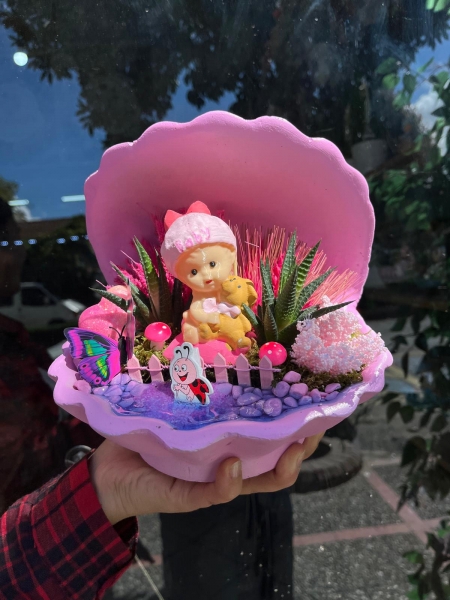 Kız Bebek Teraryum