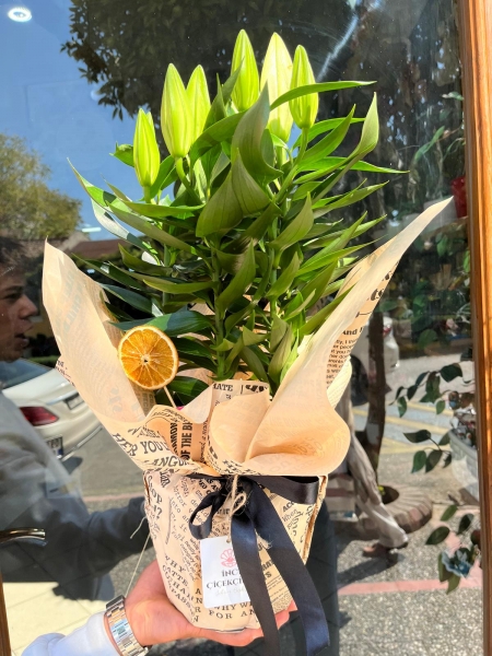 Lilyum Çiçeği