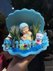 Erkek Bebek Teraryum