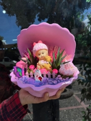 Kız Bebek Teraryum