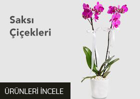 Öneçıkan Ürün